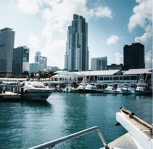 BRICKELL NIGHTS