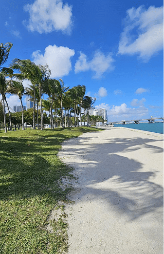 BAYSIDE MARKETPLACE